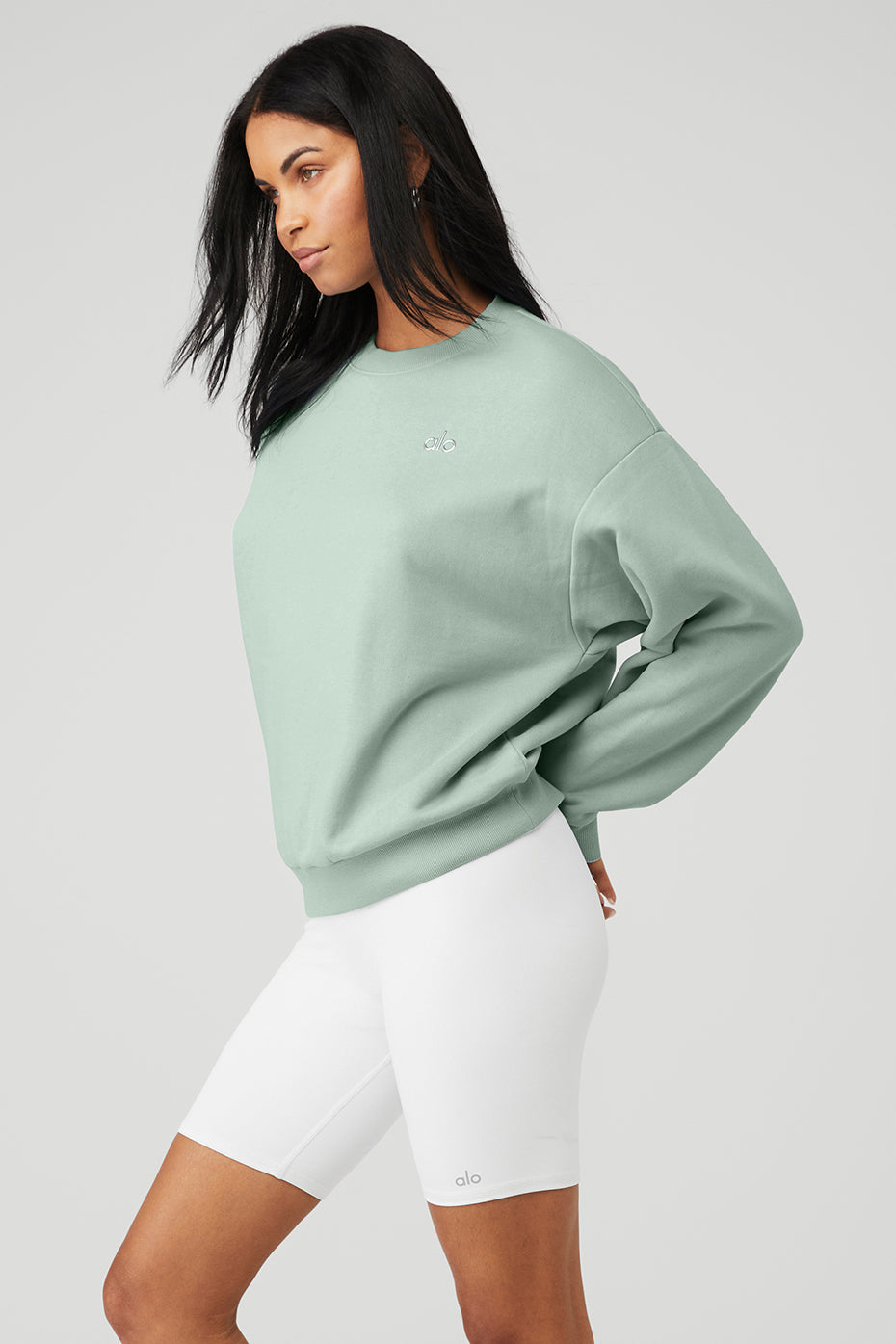 Accolade Crew Neck Pullover - Icy Sage